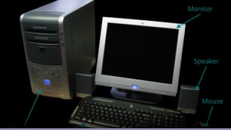 Linux desktop: le distro migliori del 2023 485