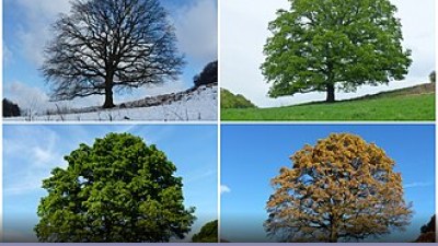 Lazio 2017: la stagione biancoceleste - Approfondimento