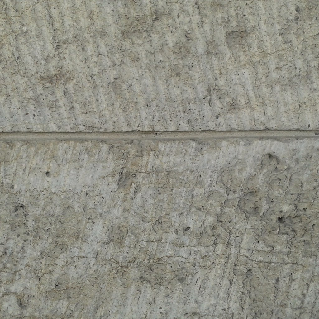Erano piante nel deserto.