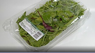 Acqua: la risorsa critica del 2012 - Novità 393