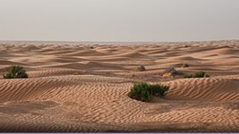 Ambiente 2014: le sfide del pianeta: tutti i dettagli
