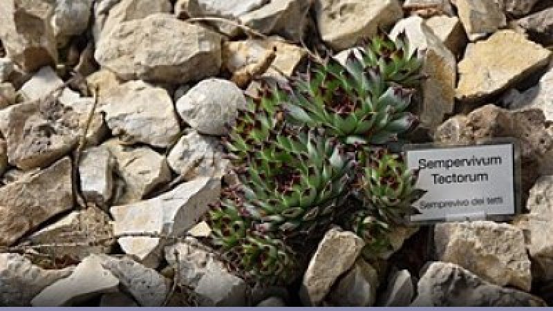 Biodiversità: lo stato nel 2016