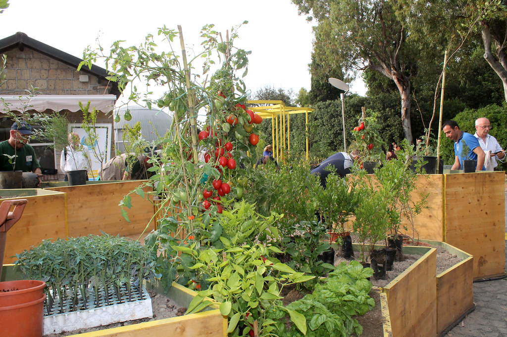 G.N.A.M. Village Il Villaggio della Dieta Mediterranea e della Biodiversità