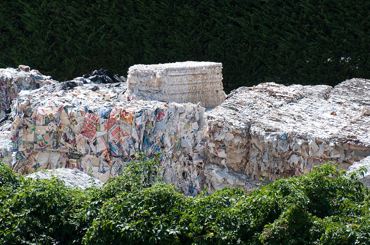Riciclaggio della carta
