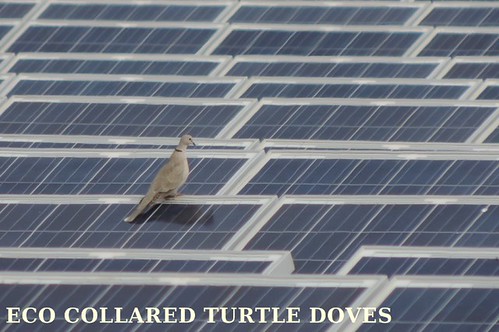 ECO BIRDS ENERGIE RINNOVABILI 2015