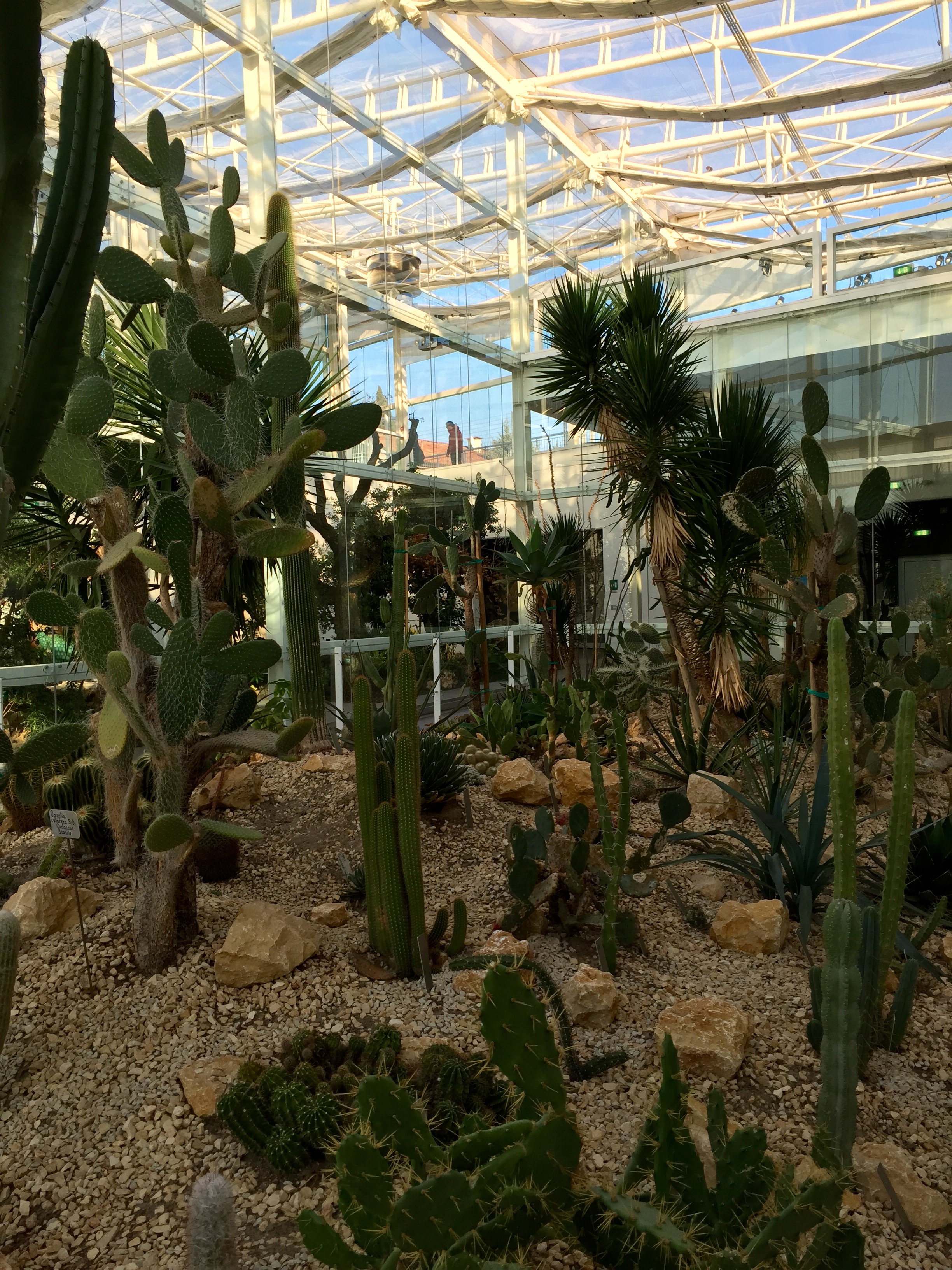 File:Giardino della Biodiversità, Serra Arida.jpg