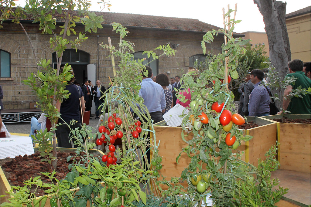 G.N.A.M. Village Il Villaggio della Dieta Mediterranea e della Biodiversità