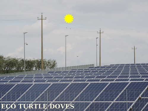 ECO BIRDS ENERGIE RINNOVABILI 2015