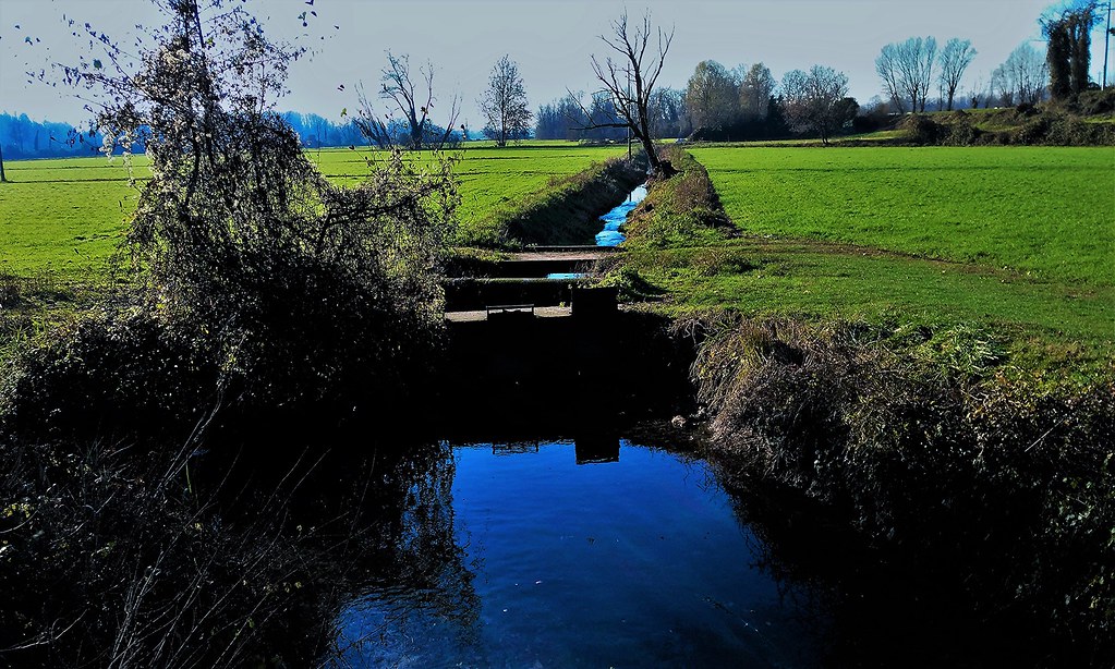 Acqua di irrigazione