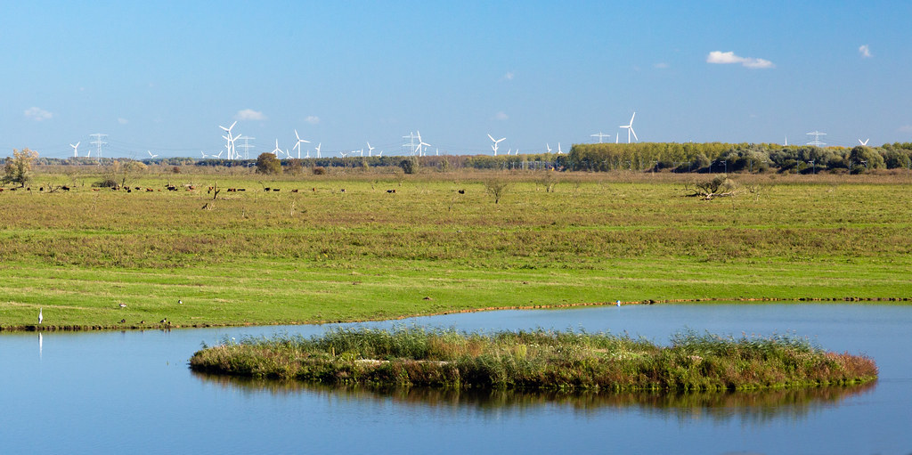 Wind Energy