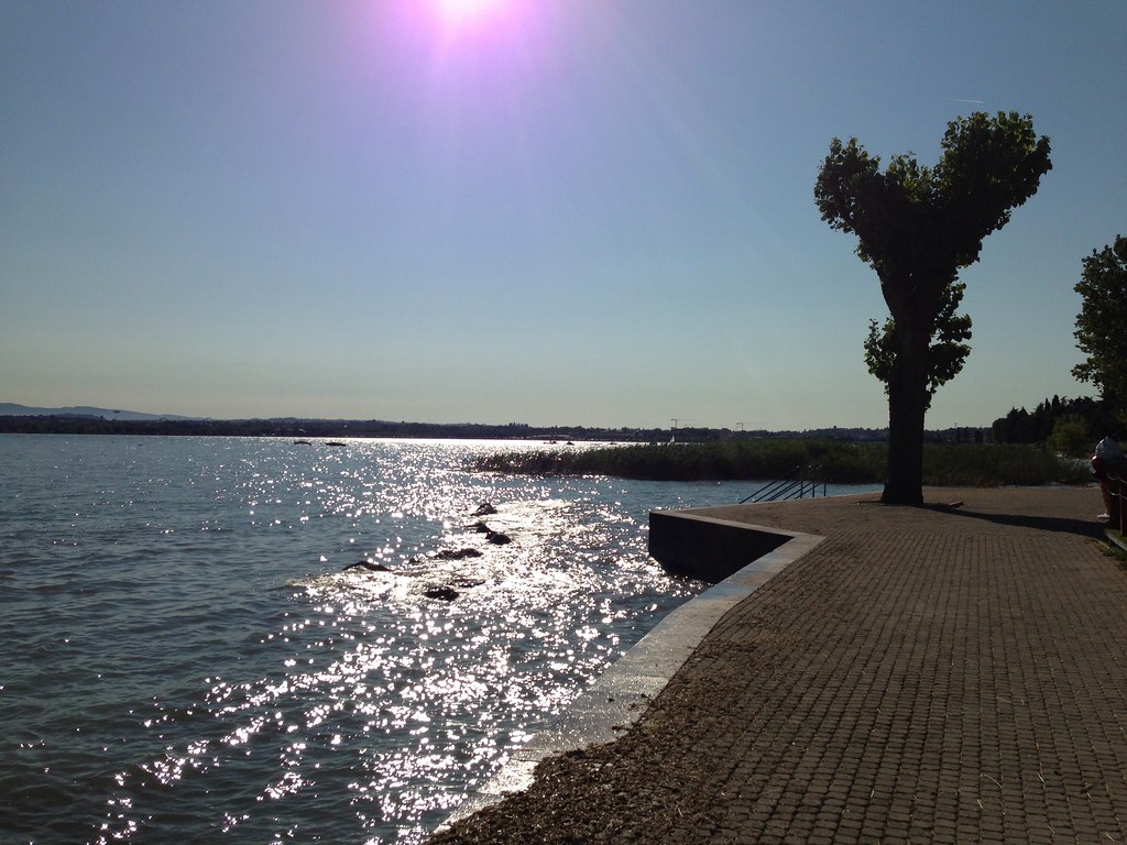 TRA I MIGLIORI PERCORSI DI RUNNING (CORSA) ECCO IL LUNGOLAGO DI PESCHIERA DEL GARDA IL LATO VERSO SAN BENEDETTO DI LUGANA SPETTACOLARE PERRCORSO IN RIVA AL LAGO DI GARDA IN MEZZO A CIGNI E PAPERE SENZA INQUINAMENTO AUTOMOBILISTICO