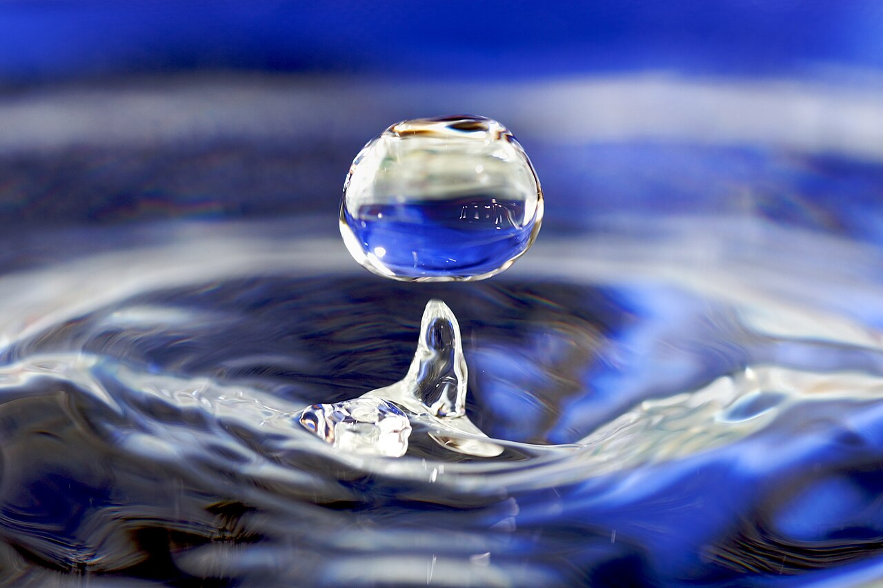 Acqua