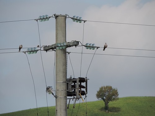 ECO BIRDS ENERGIE RINNOVABILI 2015