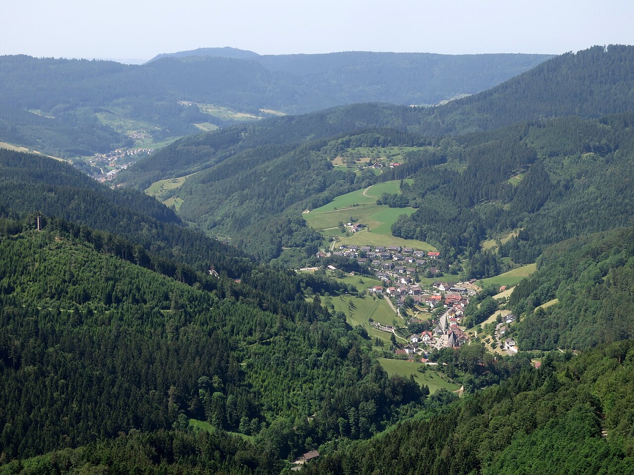 Foresta Nera