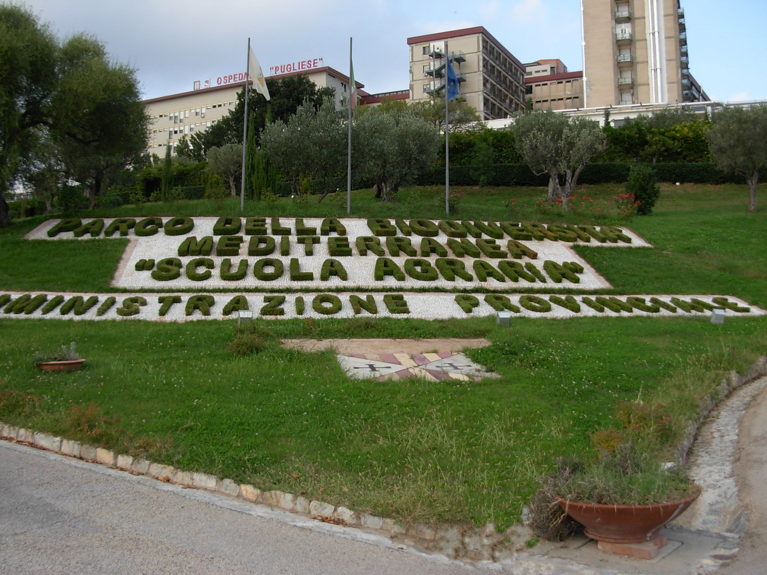 Parco Biodiversità - panoramio