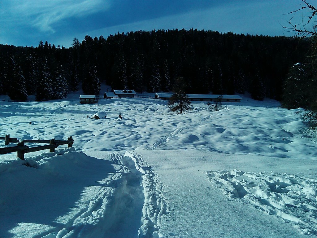 Outdoor Training, cooking trapper in Val di Sole ...'che lavoro schifoso' ...