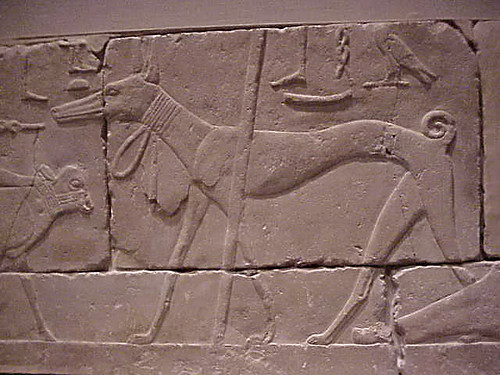 Detail of Bas Relief of Man with calf and dog 2490-2323 BCE Egyptian Old Kingdom Limestone