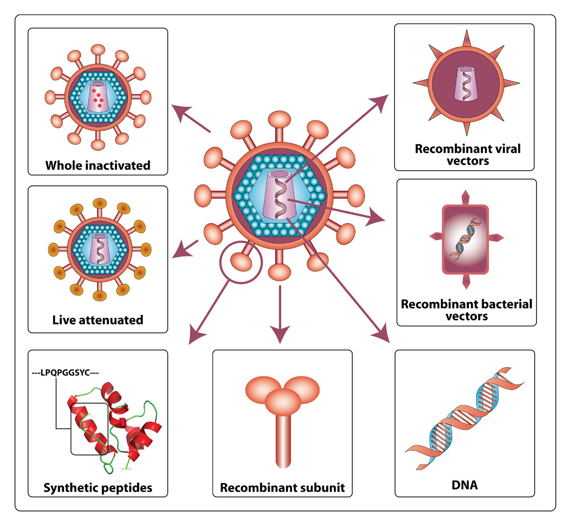 Vaccino contro l'HIV
