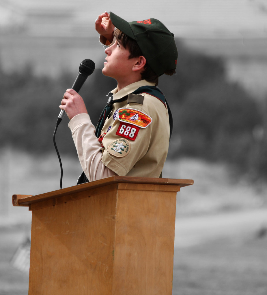 Scout Salute