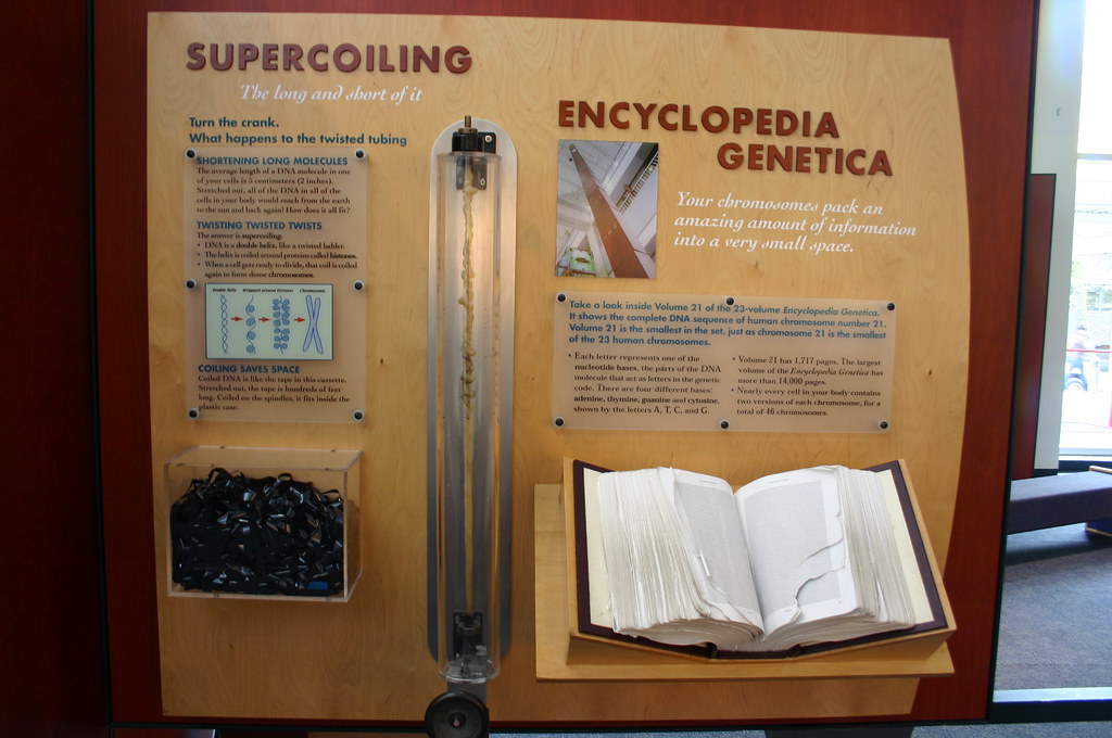 Encyclopedia Genetica