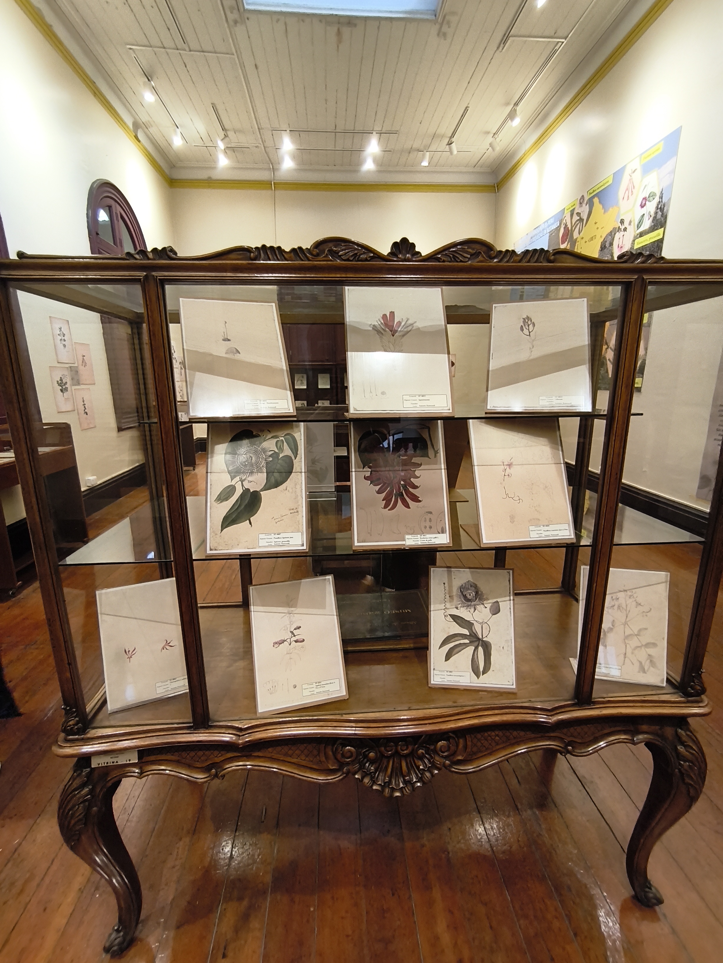 Museo de la Historia de la Medicina Peruana, FMSF-UNMSM, junio 2026 (58612)