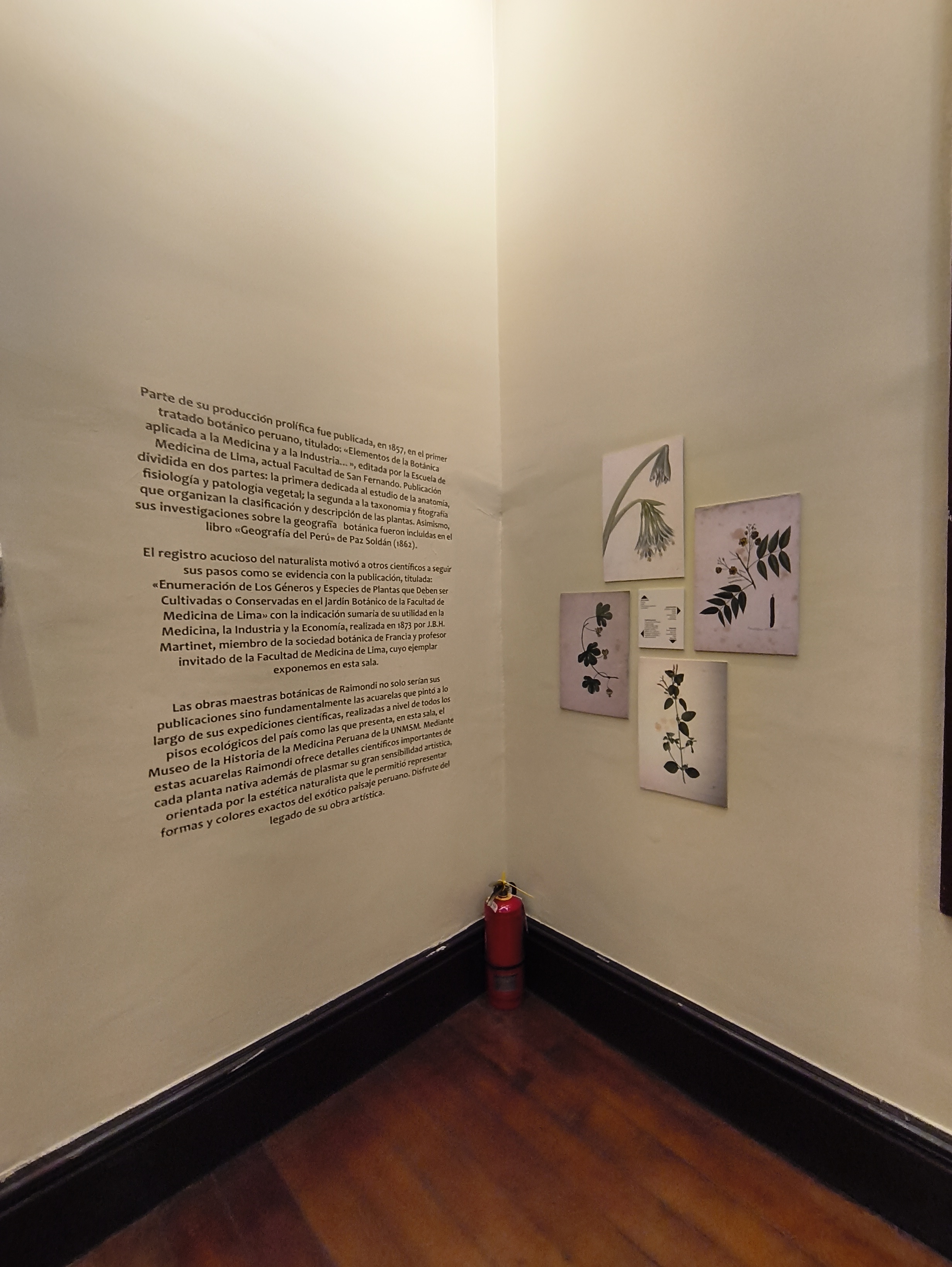 Museo de la Historia de la Medicina Peruana, FMSF-UNMSM, junio 2026 (80518)